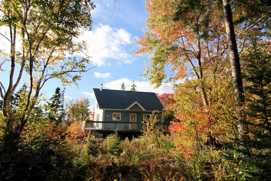 weiter zur Bildergalerie