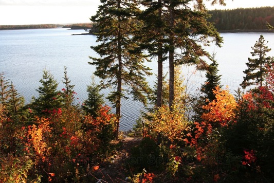 weiter zur Bildergalerie