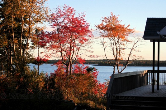 weiter zur Bildergalerie