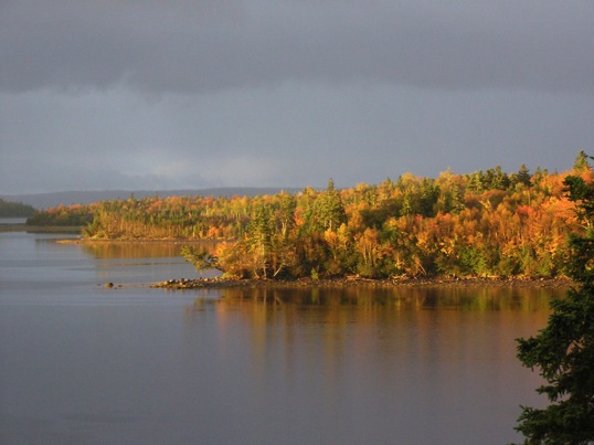 weiter zur Bildergalerie