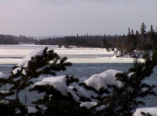 weiter zur Bildergalerie