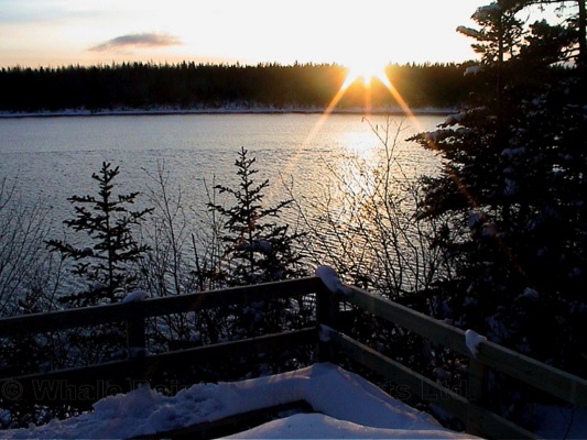 weiter zur Bildergalerie