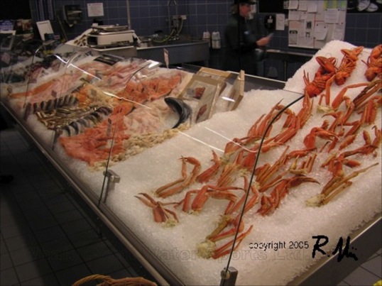 weiter zur Bildergalerie